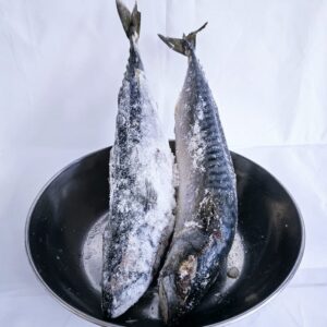 Frozen Mackrell Fish (5kg)