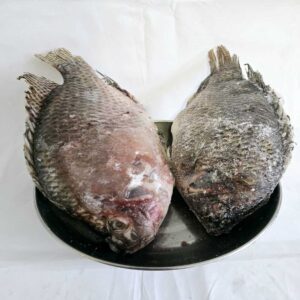 Frozen Tilapia Fish (5kg)